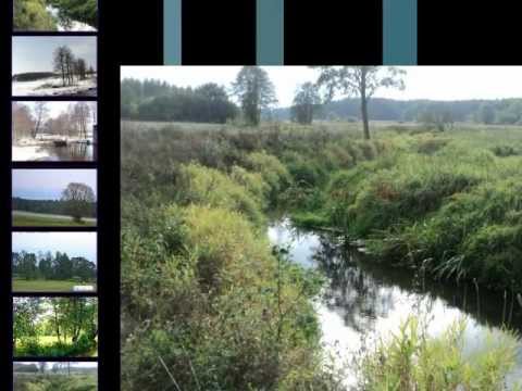 Gospodarstwo Agroturystyczne w Łosieniu, Piekoszów,Kielce