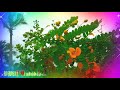 Aavaram Poovae Thottu Anga Enga Unna Thottu