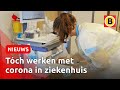 Honderden zorgmedewerkers zitten thuis sinds carnaval | Omroep Brabant