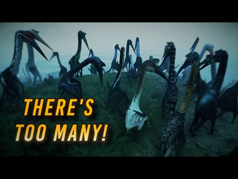 When 70 QUETZ Attack the Server!