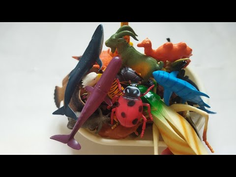 Zoo animal figure Unboxing and  Review-snake dinosaurus lion giraffe#asmr#shorts#unboxing#seaanimals