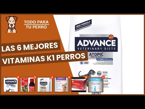 Las 6 mejores vitaminas k1 perros