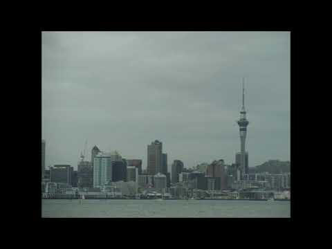 Ko ha Visone Kuo Fehalaaki - Sione Laimani