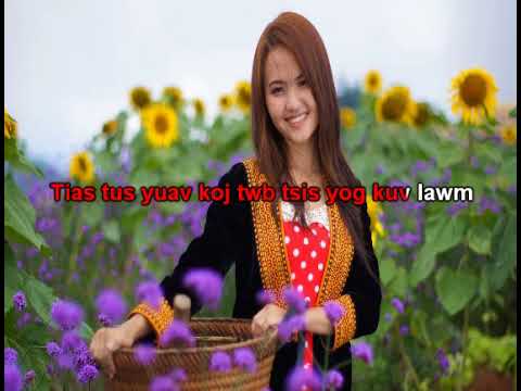 ib ntsais muag neej tawg tag instrumental-karaoke-ntshaim vaj