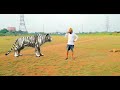 Aandhi Aayi Aandhi Aayi Aandhi Aayi Bhaag Bhaag PK
