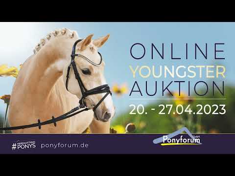 Di Championa AT Stute 2019 v. Dimension AT NRW / FS Champion de Luxe