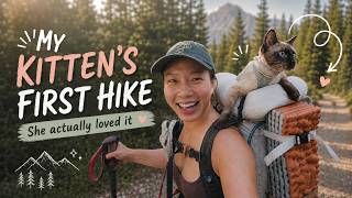 taking my 10-month-old kitty backpacking for the first time! 🐱⛺️