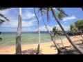 Holiday - Jimmy Buffett