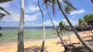 Holiday - Jimmy Buffett