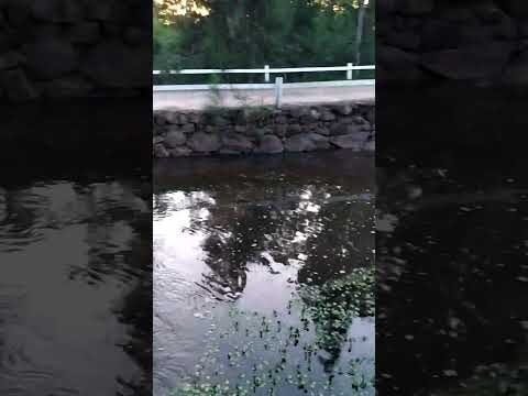 Viaje de William Rivero a Salto de Agua Cerro Chato Dpto 33 "