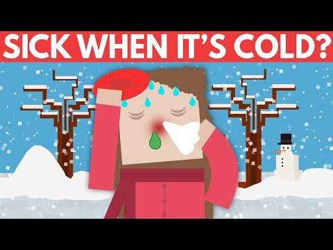 寒くなると病気になるのはなぜ？- 親愛なるブロッコ＃９ (Why Do You Get Sick When It's Cold? - Dear Blocko #9)
