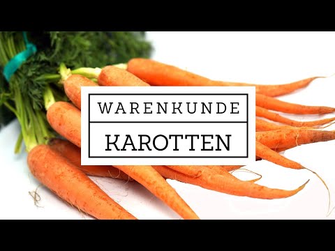 Warenkunde - Die Karotte / Möhre - Woher kommt die Farbe und was hat es mit der Urmöhre auf sich?