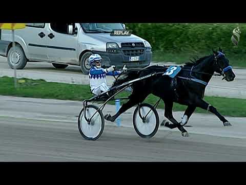 Aversa trotto 28 Ottobre 2020 - 4° Corsa