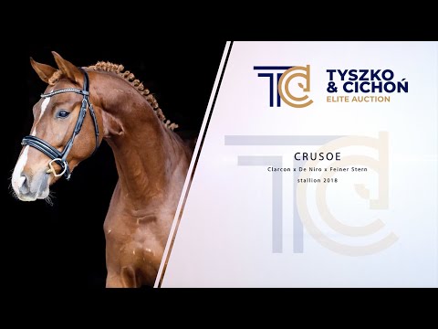TC Elite Auction 2021: Crusoe (Clarcon x De Niro x Feiner Stern) 2018