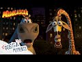 Madagascar ICONIC Throwback ️ Madagascar Comp Mega Moments