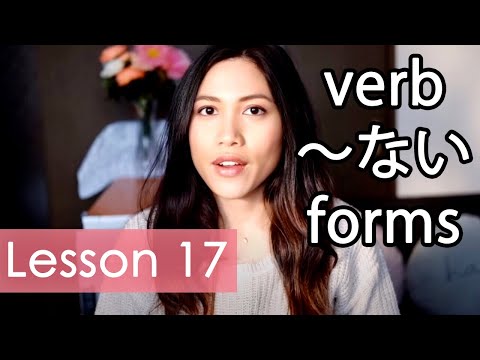 Learn Japanese | Minna No Nihongo Lesson 17 Grammar