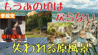 【参政党】梅村みずほ環境委員会参考人質疑　もうあの頃に戻れない　『失われた原風景』