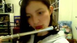 We&#39;re All In This Together Flute Style