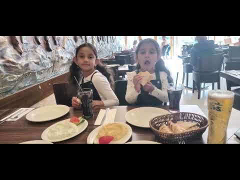 🎬🔊Andrej & Jančo - Kana maro / Sakoneske mištes 2025 🆕🎬