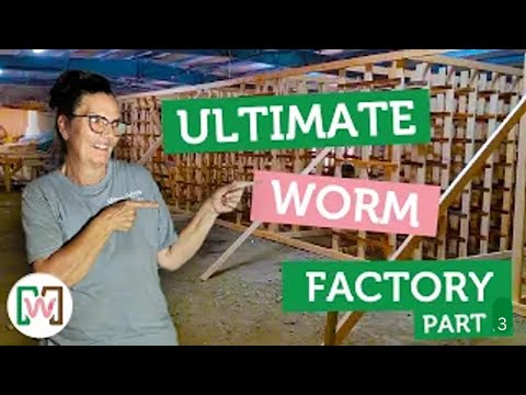 Worm Farm Reconstruction Update – December 5th Progress Report