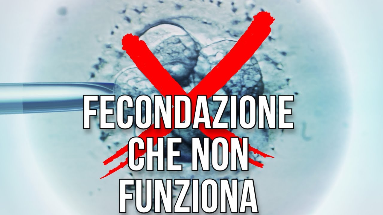 Perché gli embrioni non attecchiscono: il fallimento della fecondazione \ clamoroby