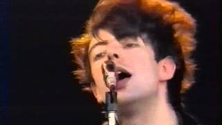 Echo & The Bunnymen Interview And Clips Rock Werchter 1987