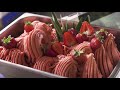 ABC Gelato - How to make gelato