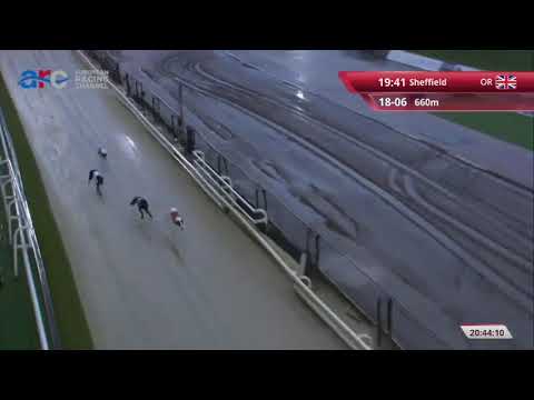 Denmark - BGBF British Bred Dual Distance Stakes Heat 1