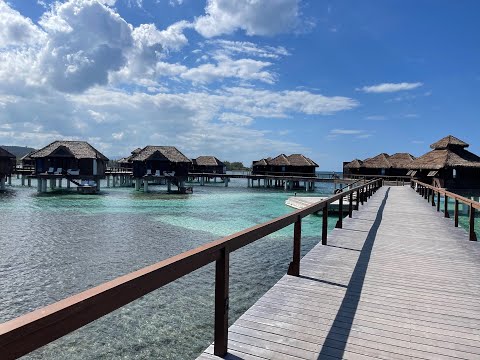 Videos del Sandals Royal Caribbean 5★ en Montego Bay, Jamaica
Ver Más
Ver
Precios
21
Cerrar
Consulta por Whatsapp 🇦🇷
Booking
Tripadvisor
Expedia
Agoda
Travelocity
Orbitz
Priceline
Trip
Skyscanner
Despegar
Kayak
Hoteles
Bestday
Destinia
Trivago
Turismocity
Almundo
Lastminute
Cheaptickets
Tui
Wotif
