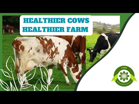 The Benefits of Cows Grazing on Grass Alone: Health, Environment, and Savings