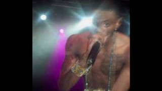 Soulja Boy - Booty Got Swag