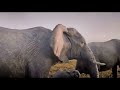 Watch Movie Mufasa The Lion King 2024 On Lookmovie2 In 1080p High Definition And 1 More Page Ibra