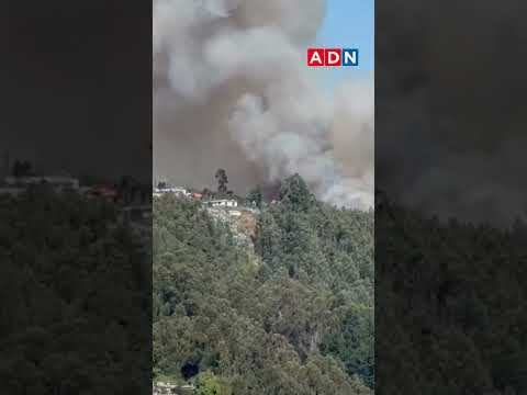 Comenzó como un foco de fuego estructural: decretan alerta roja en Tomé por incendio forestal