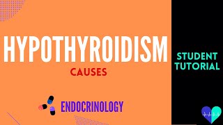 Hypothyroidism (Causes) - Medical Tutorial