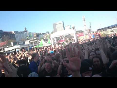 Shocky ist zurück!  Swiss aufm Hafenrock