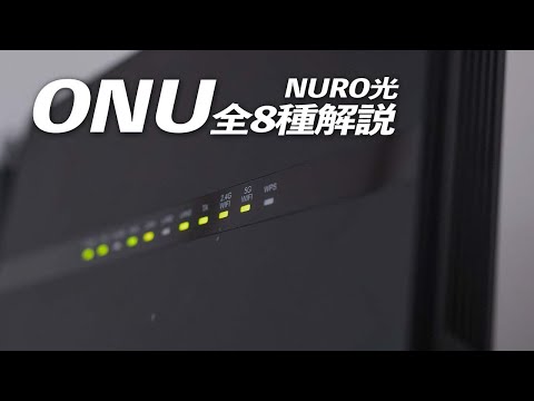 ニューロドンについて詳しく解説