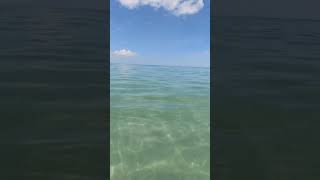 When high tide has come and slack tide hits 🥲 #beachaesthetic #beachsounds #beachasmr #shortsfeed