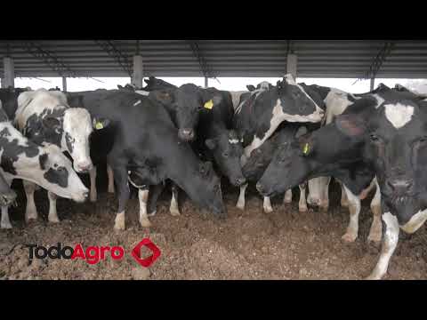 "Venimos de tres años muy buenos"