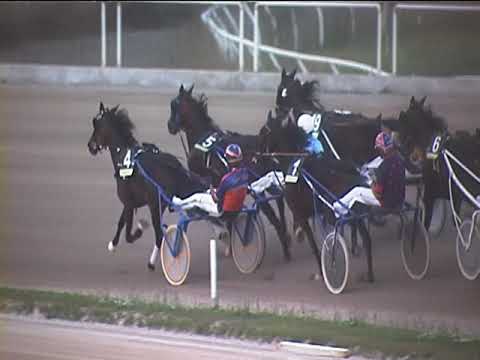 Trotto 12/10/2018 - 8ª corsa