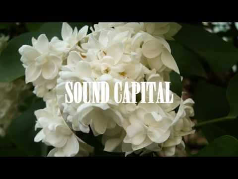 Zedd ft. Hayley Williams - Stay the Night (Chet Porter Remix)