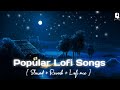 Popular Punjabi Lofi Songs That Really Refreshing You & Also For Study \Chill \Relax \feel lofi