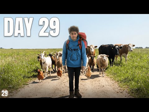 I walked across Slovenia (29) 🇸🇮