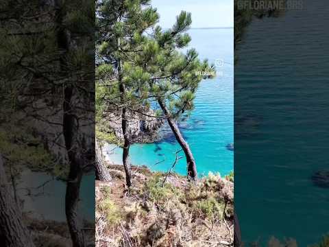 Randonnée 🚶‍♀️, Baignade 🏊‍♀️, Vanlife 🚐 #finistere #GR34 #nature #weekend #outdoors