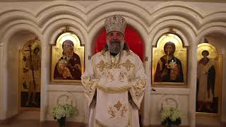 Проповедь епископа Питирима (Творгова) в праздник Рождества Крестителя Господня Иоанна. 07.07.25.