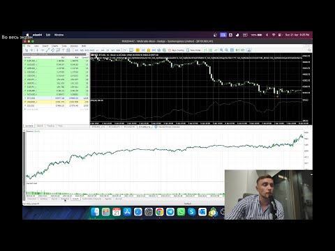 Video Neural Bitcoin Impulse