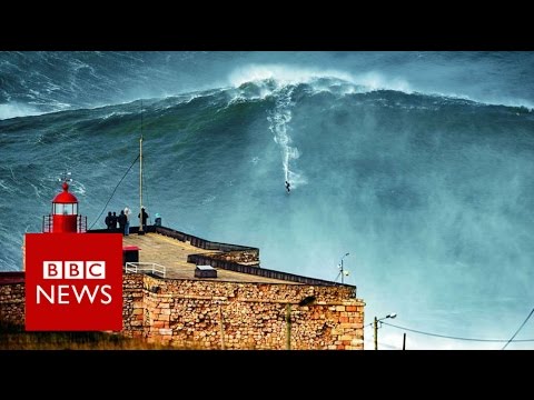 The evolution of surfing - BBC News