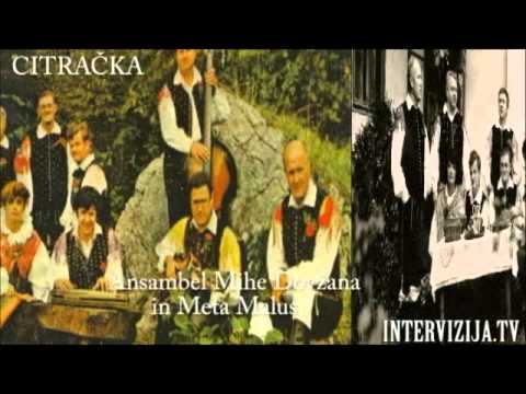 Meta Malus in ansambel Mihe Dovžana Citračka