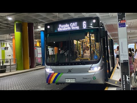 Australia/Invasion day CAT disruptions