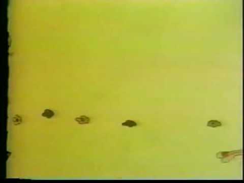 The Letter People TV 25 Meet Mister K