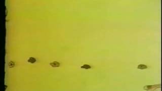 The Letter People TV 25 Meet Mister K